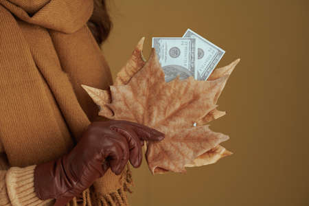 Life during coronavirus pandemic. Closeup on female in scarf with yellow autumn maple leaves and money on brown background.の写真素材