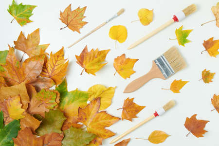Hello september. autumn background with leaves and pumpkins on white background.の写真素材