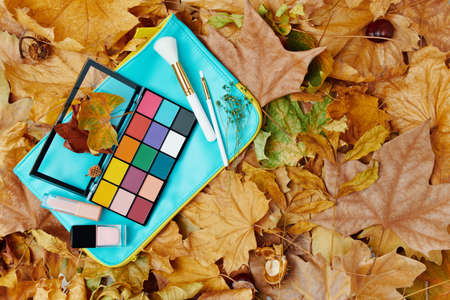 Hello september. autumn background with leaves and pumpkins on white background.の写真素材