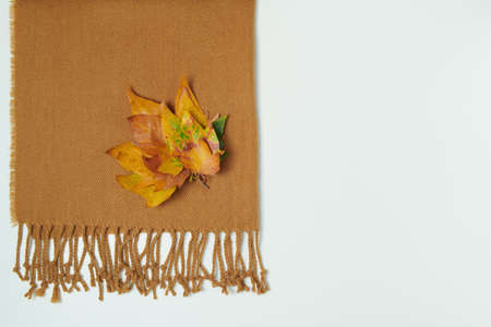 Hello october. autumn background with wheat heads, corn, pumpkin, apples, rowan, chestnuts and leaves on wooden planks.の写真素材