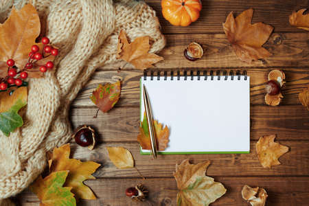 Hello october. autumn background with wheat heads, corn, pumpkin, apples, rowan, chestnuts and leaves on wooden planks.の写真素材