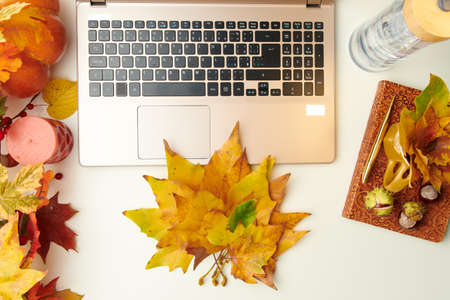 Hello september. flat lay with notebook, leaves, chestnuts, credit card and laptop on white background.の写真素材