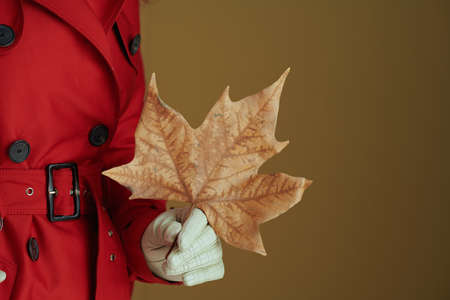 Life during coronavirus pandemic. Closeup on woman in red coat with yellow autumn maple leaf against bronze background.の写真素材