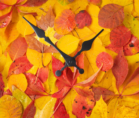 Hello autumn. autumn background with donation inscription and leaves on white background.