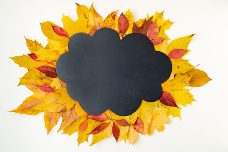 Hello autumn. autumn background with donation inscription and leaves on white background.