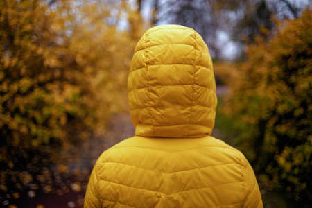 Hello autumn. Seen from behind girl in brown sweater and orange hat rejoicing outdoors in the city park in autumn.の写真素材