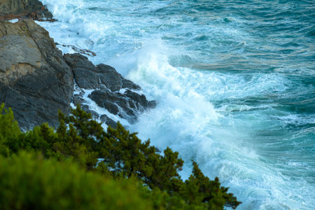 landscape with basilica di santa maria della salute and grand canal in Venice, Italy.の写真素材
