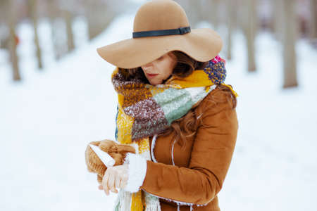 smiling elegant woman in brown hat and scarf outdoors in the city park in winter in sheepskin coat.の写真素材