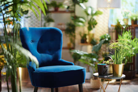 Green Home. blue armchair in the modern house in sunny day.の写真素材