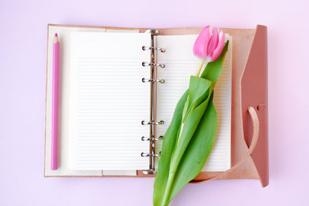 spring flat lay with tulip, pen and notebook isolated on pink.