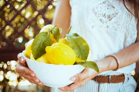 happy trendy 40 years old woman in white shirt with plate of local farm lemons and hat outdoors near green wall.の写真素材