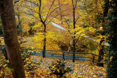Hello november. autumn tree branches with yellow leaves.