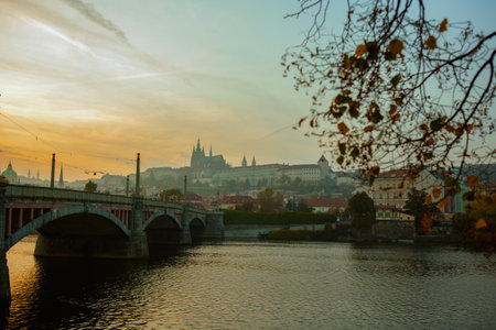 landscape with Vltava river and St. Vitus Cathedral at sunset shot through the foliage in autumn in Prague, Czech Republic.の写真素材
