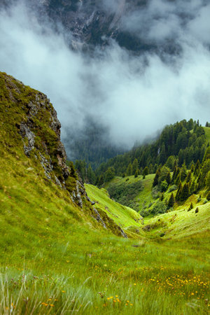 Summer time in the Dolomites. landscape with mountains, hills, grass, rocks, trees and fog.