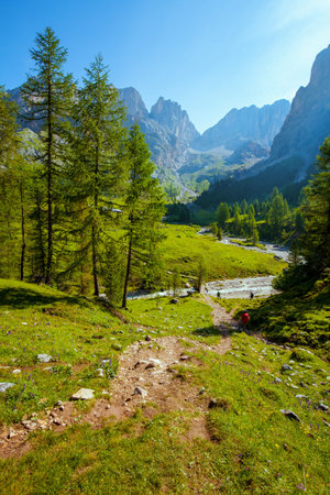 Summer time in the Dolomites. landscape with mountains, trees and trail.