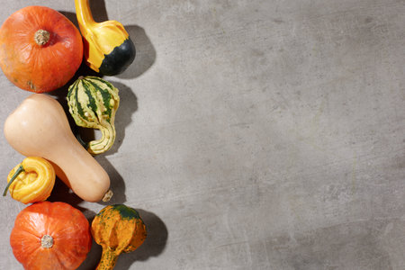 autumn flat lay on a gray background with pumpkins and autumn leaves.の写真素材