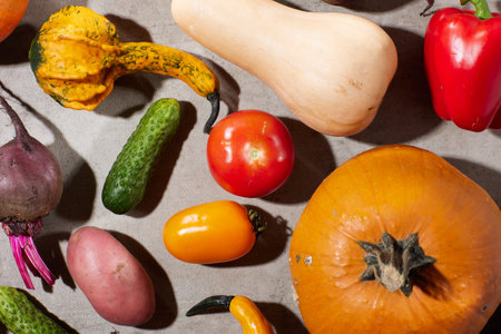 autumn flat lay on a gray background with pumpkins, beetroot, autumn leaf and autumn vegetables.の写真素材