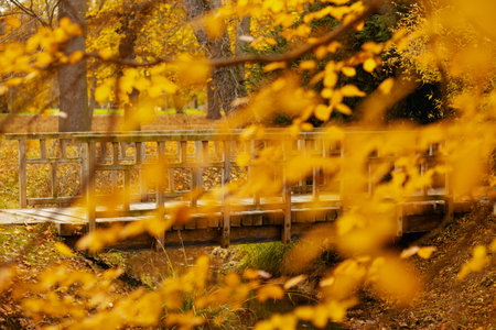 landscape in autumn in Prague, Czech Republic with bridge shot through the foliage in the city park.の写真素材
