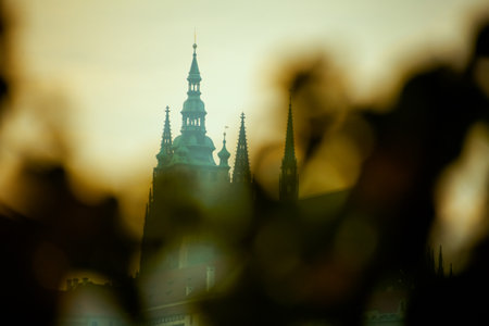detail of St. Vitus Cathedral at sunset shot through the foliage in autumn in Prague, Czech Republic.の写真素材