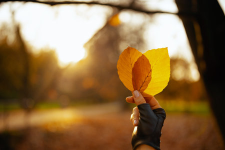Hello autumn. Closeup on woman in red hat with autumn leaves, scarf and gloves in the city park.の写真素材