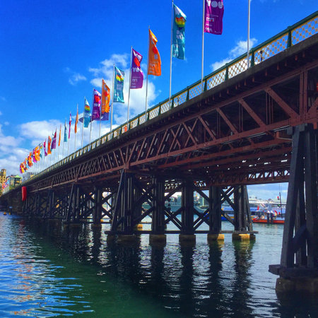 Pyrmont Bridge Sydney Australiaの素材