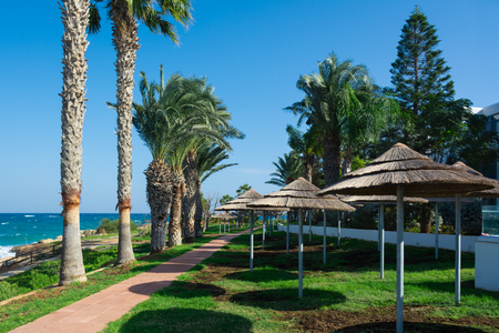 View of the path along the seashoree in resort. Protaras, Cyprus. Palm trees alley and umbrellas with thatched roofs.の写真素材
