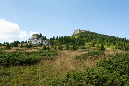 Beautiful view of CeahlÄu Massif in Eastern Carpathian mountains, Romaniaの写真素材