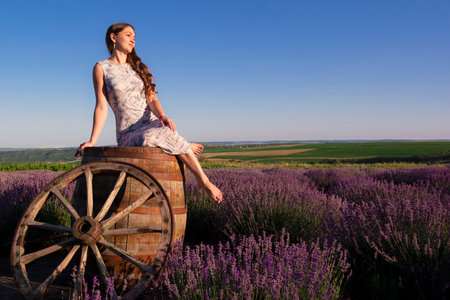 Woman sits on a wooden barrel in the lavender field. Rural landscapeの写真素材
