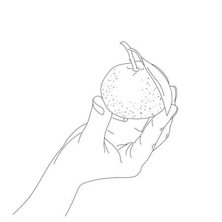 Silhouette of tangerine in human hand - vector outline illustration isolated. Fingers grip Holding mandarin with leaf. Drawing for fruit citrus company, Winter Christmas symbol sign emblem.のイラスト素材