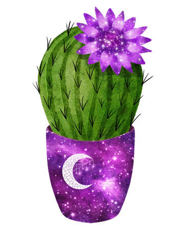 Celestial cactus clip art illustration in flowerpot with stars and cosmos pattern. Bright watercolor succulent isolated on white. Handdrawn prickly green house plant for mystic astrology design.の写真素材