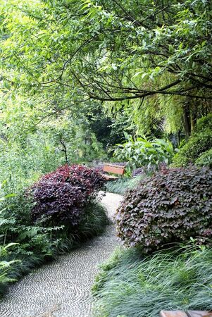 Path in parkの写真素材