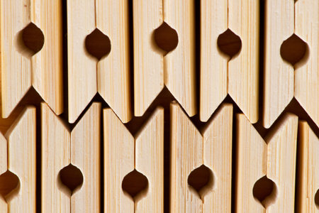 Bamboo clampの写真素材