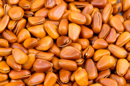 Pine nutの写真素材