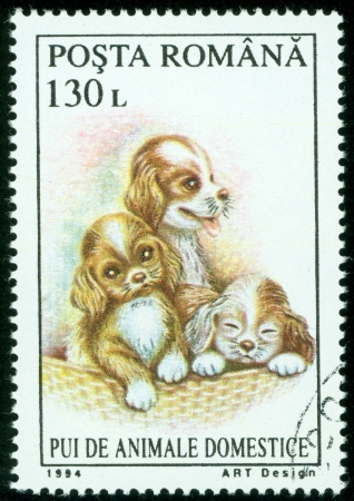 ROMANIA - CIRCA 1994  A stamp printed in Romania showing puppies, circa 1994のeditorial素材