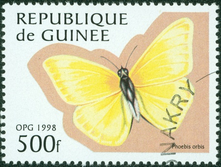 GUINEE - CIRCA 1998  stamp printed by GUINEE, shows butterfly, circa 1998 の写真素材