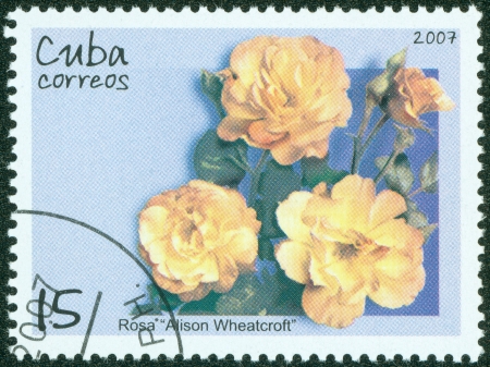 CUBA - CIRCA 2007  The postal stamp printed in CUBA shows rose, circa 2007の写真素材