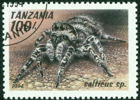 TANZANIA - CIRCA 1994  A stamp printed in Tanzania shows image of a salticus sp , circa 1994のeditorial素材