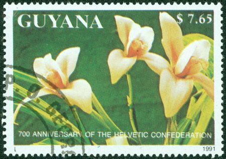 GUYANA - CIRCA 1991  A stamp printed in Guyana shows orchid flower, circa 1991の写真素材
