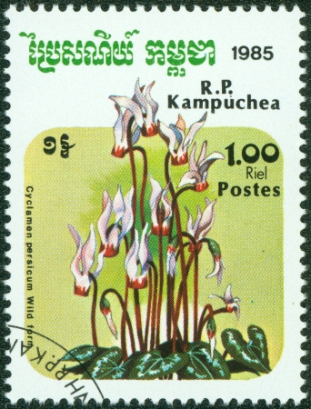 CAMBODIA - CIRCA 1985  A stamp printed in Cambodia shows flower, circa 1985の写真素材