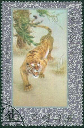 NORTK KOREA - CIRCA 1976  A stamp printed in DPR Korea shows Bengal tiger, circa 1976の写真素材