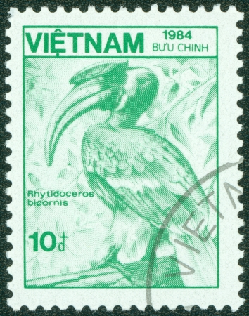 VIETNAM - CIRCA 1984  A stamp printed in Vietnam shows hornbill, circa 1984のeditorial素材