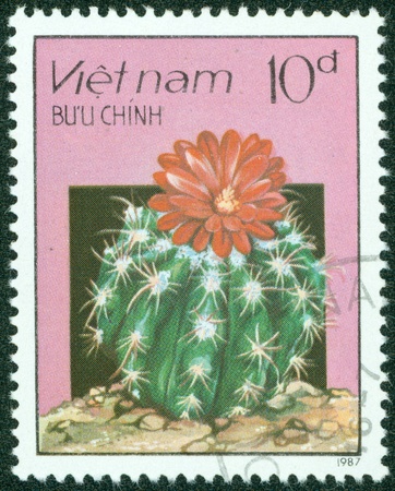 VIETNAM - CIRCA 1987  A stamp printed in Vietnam shows blossoming cactus, circa 1987のeditorial素材
