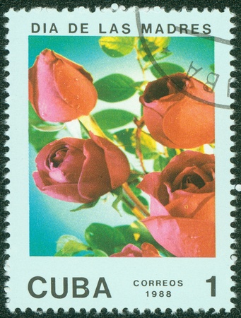 CUBA - CIRCA 1988  A stamp printed in CUBA shows red rose, circa 1988の写真素材