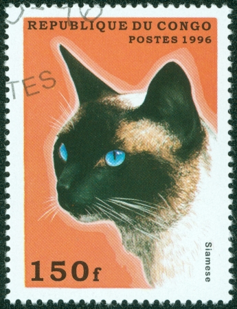 CONGO - CIRCA 1996  A stamp printed in Congo shows Siamese, circa 1996 のeditorial素材