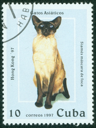 CUBA - CIRCA 1997  A stamp printed in Cuba shows cat, circa 1997のeditorial素材