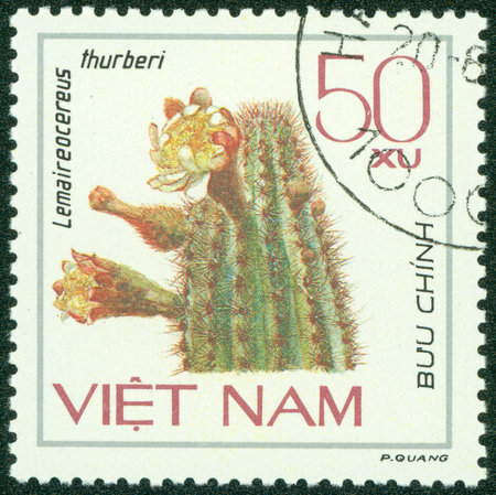 VIETNAM - CIRCA 1977  A stamp printed in Vietnam shows blossoming cactus, circa 1977の写真素材