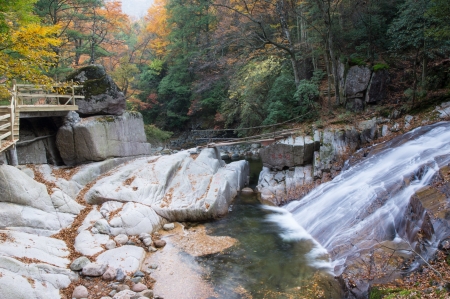 autumn,forest and streamの写真素材
