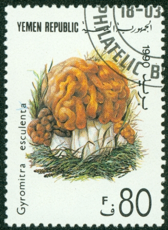 YEMEN - CIRCA 1990  A stamp printed in Yemen shows the edible Summer Cep mushroom,Gyromitra esculenta , circa 1990 のeditorial素材
