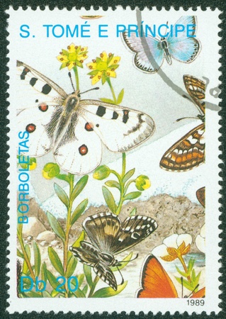 SAO TOME AND PRINCIPE - CIRCA 1989  A stamp printed in Sao Tome and Principe shows Butterflies in the meadow, series butterfly, circa 1989のeditorial素材