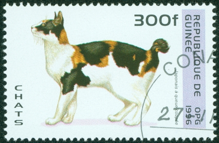 GUINEA - CIRCA 1996  A stamp printed in Guinea shows Japanese Cat, circa 1996のeditorial素材